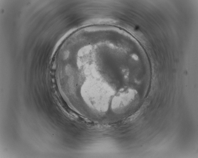 X0000066520912200604071549