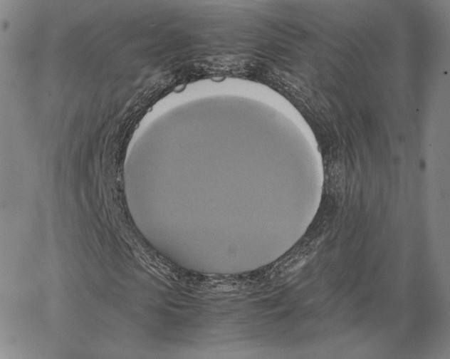 X0000066520913200604071548