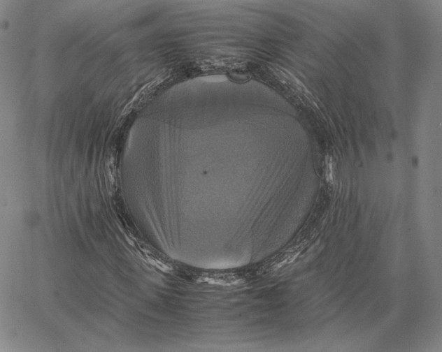 X0000066520915200604071548