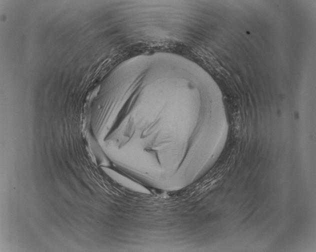 X0000066520916200604071548