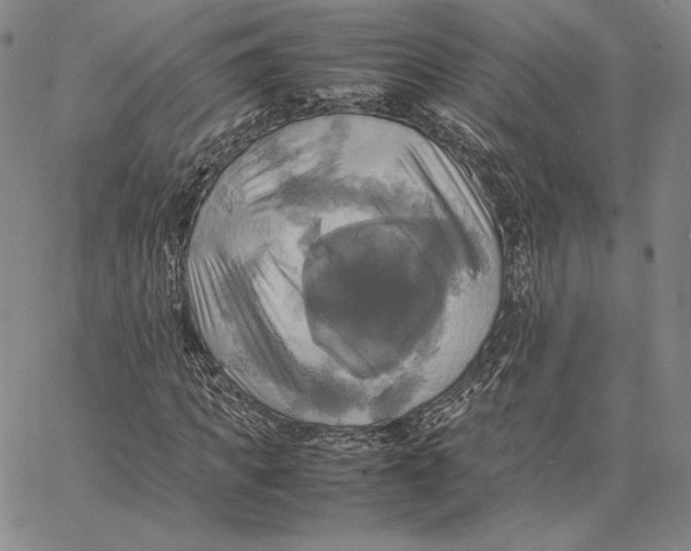 X0000066520917200604071548