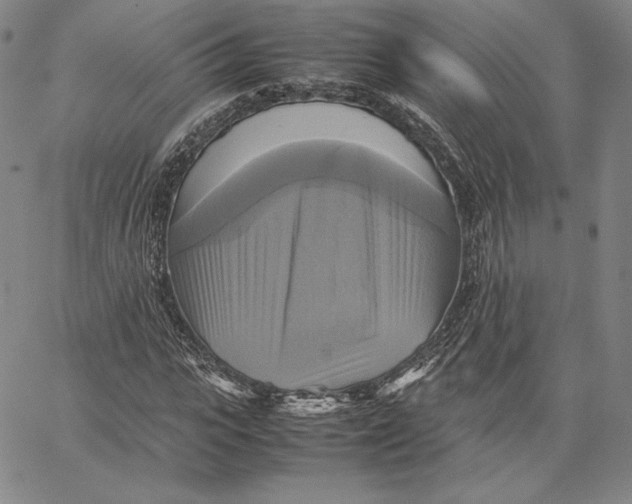 X0000066520919200604071548