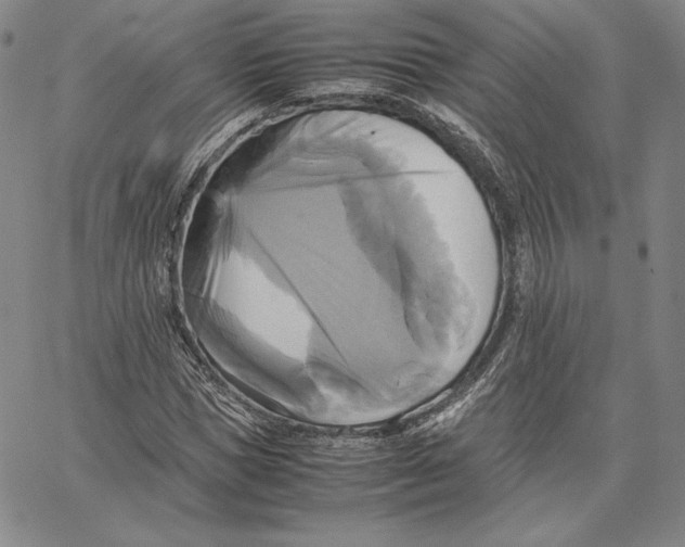 X0000066520921200604071548