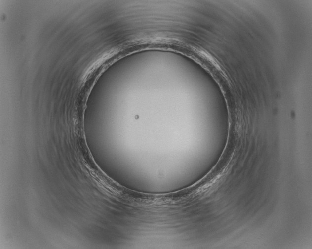 X0000066520922200604071548