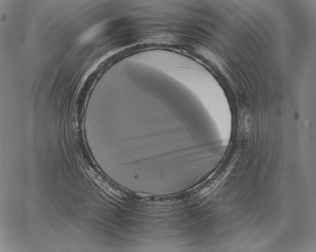 X0000066520923200604071548