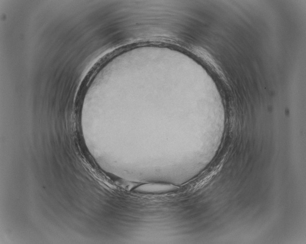 X0000066520924200604071548