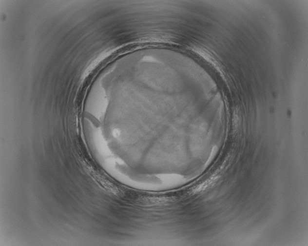 X0000066520925200604071548