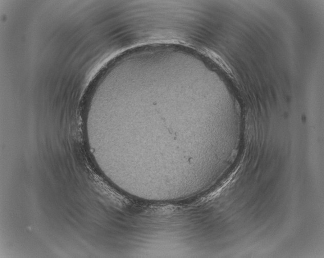 X0000066520926200604071548