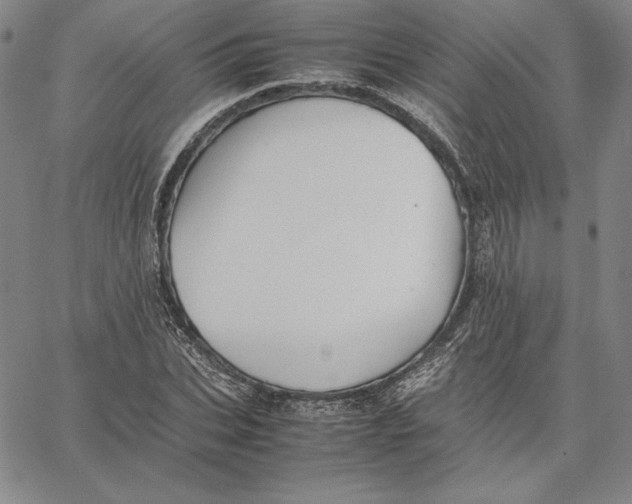 X0000066520927200604071548