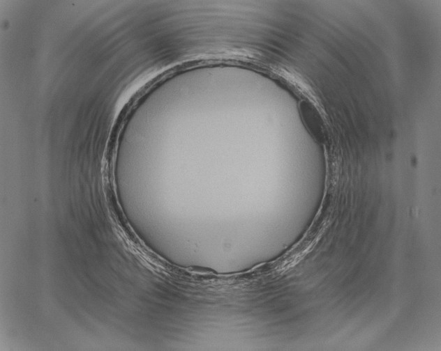 X0000066520928200604071548