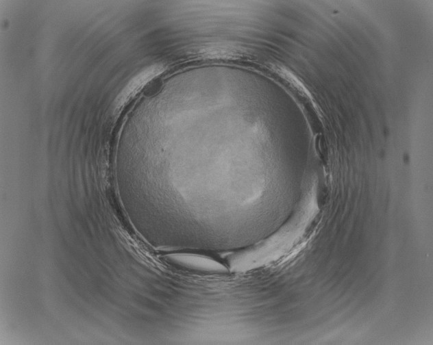 X0000066520930200604071548