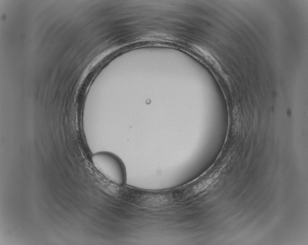 X0000066520931200604071548