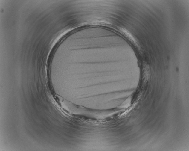 X0000066520932200604071548