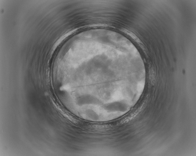 X0000066520933200604071548