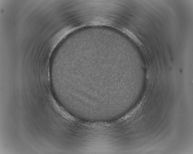 X0000066520934200604071548