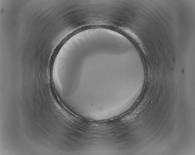 X0000066520935200604071548