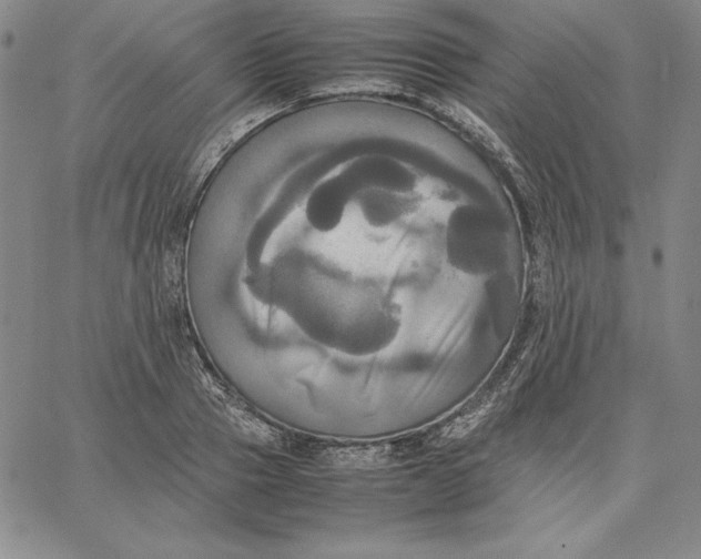 X0000066520937200604071548