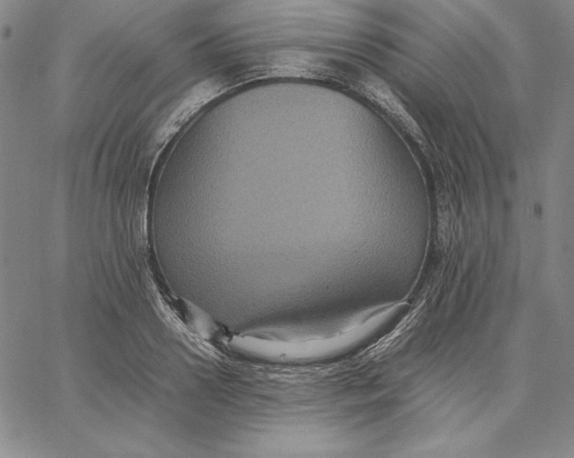 X0000066520938200604071548