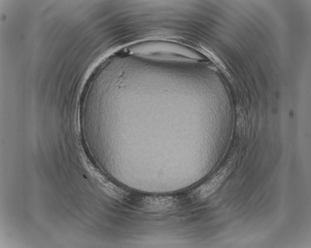 X0000066520939200604071548