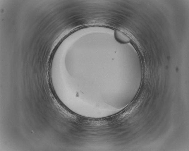 X0000066520941200604071548