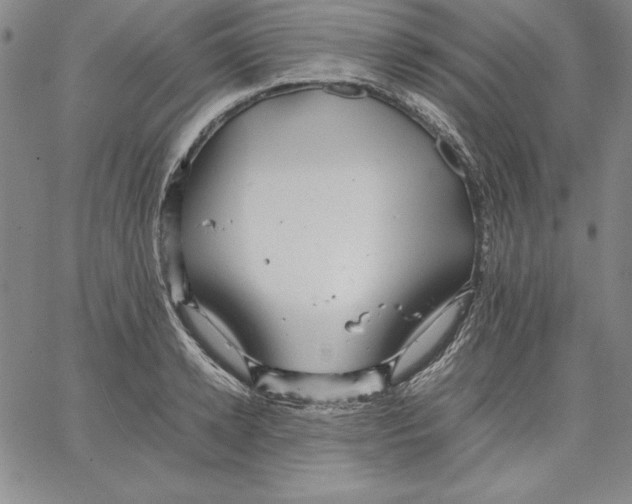 X0000066520942200604071548