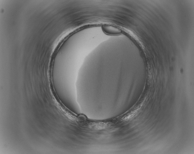 X0000066520943200604071548