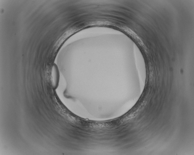 X0000066520945200604071548