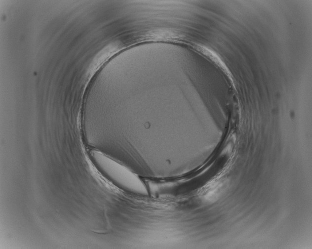 X0000066520946200604071548