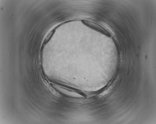 X0000066520948200604071548