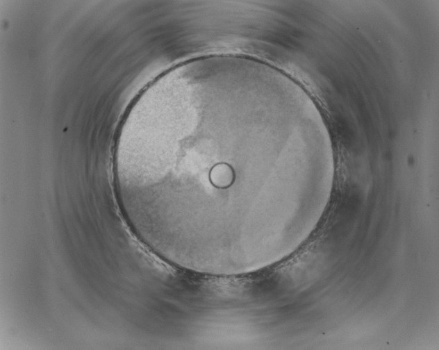 X0000066520950200604071548