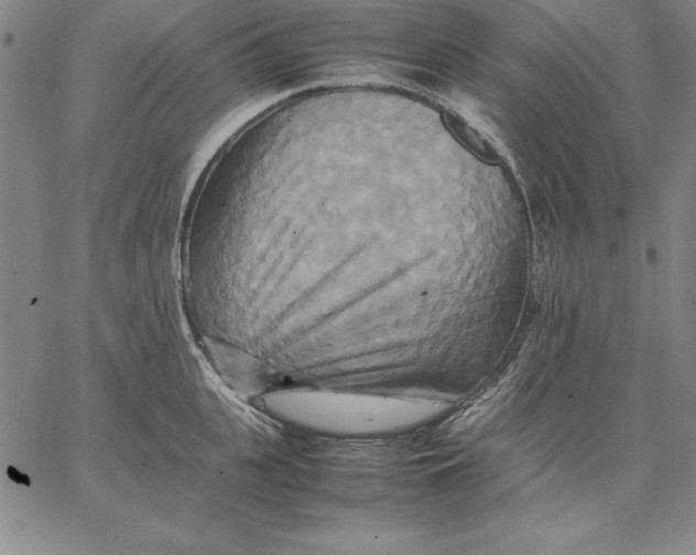 X0000066520951200604071548