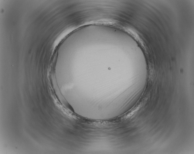 X0000066520952200604071548