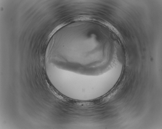 X0000066520953200604071548