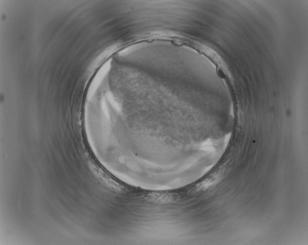 X0000066520954200604071549