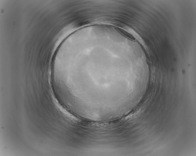 X0000066520955200604071549