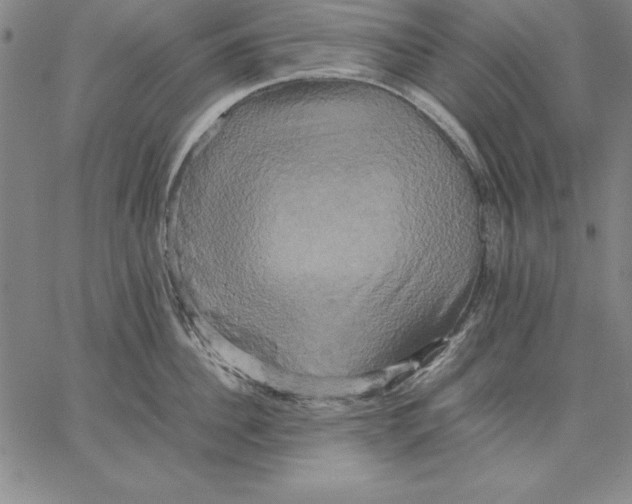 X0000066520956200604071549