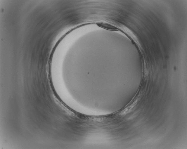 X0000066520958200604071549