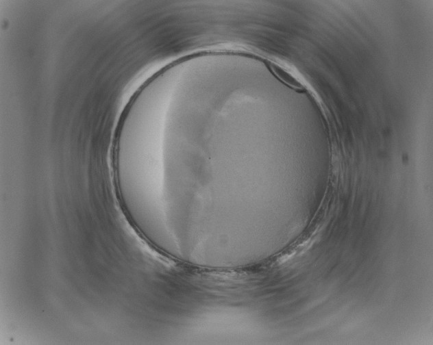 X0000066520959200604071549