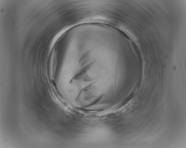 X0000066520960200604071549