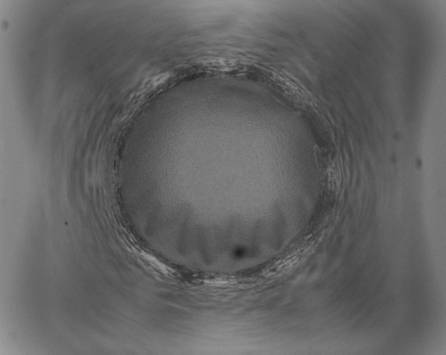 X0000066520961200604071548