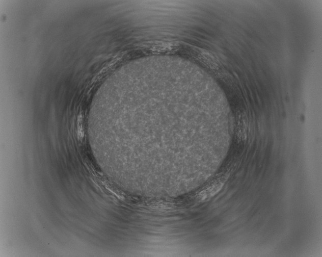 X0000066520962200604071548