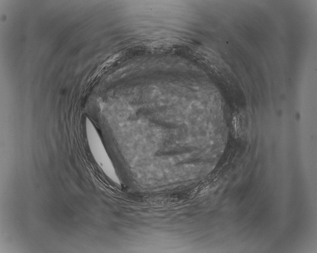 X0000066520963200604071548