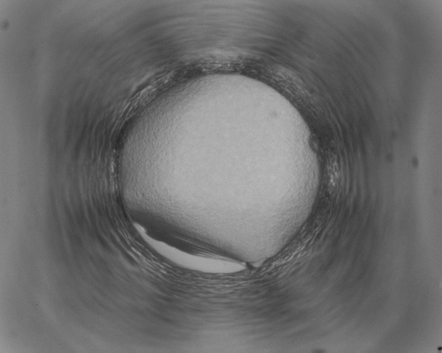 X0000066520964200604071548