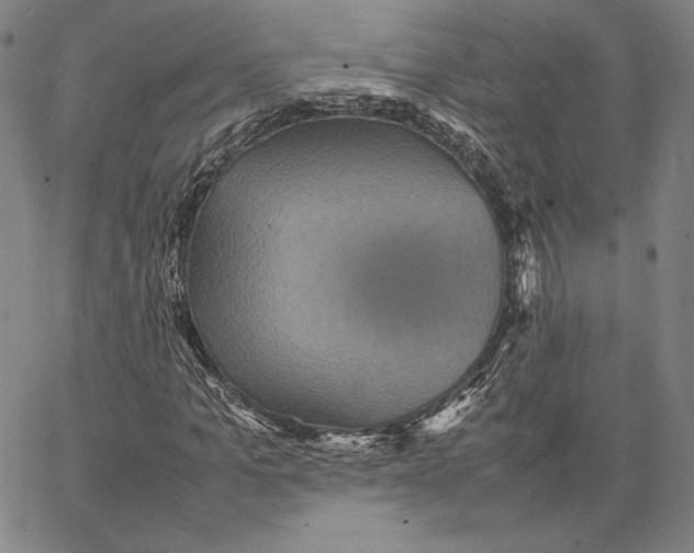 X0000066520965200604071548