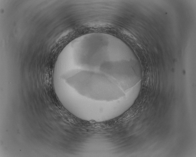 X0000066520966200604071548