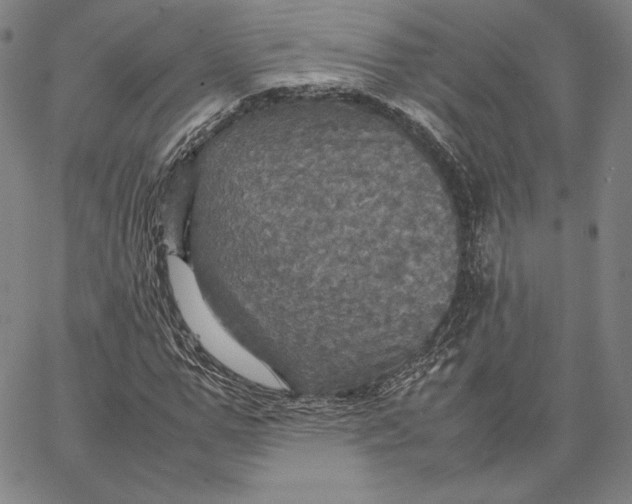 X0000066520967200604071548