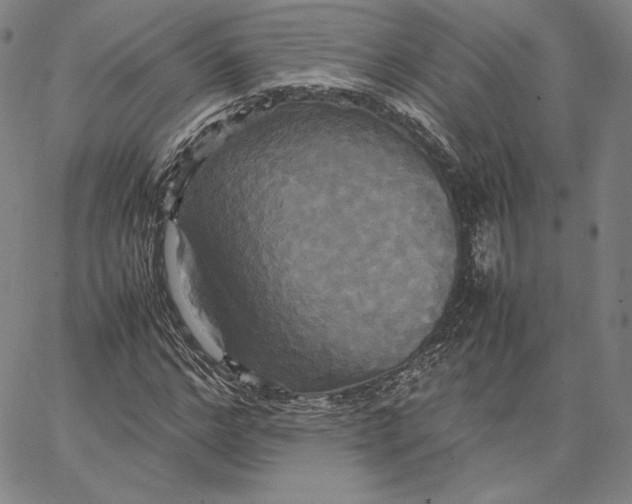 X0000066520968200604071548