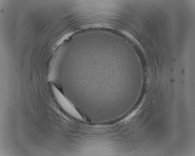 X0000066520969200604071548