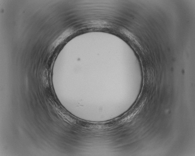 X0000066520970200604071548