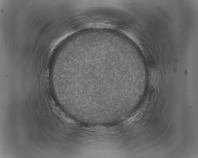 X0000066520971200604071548